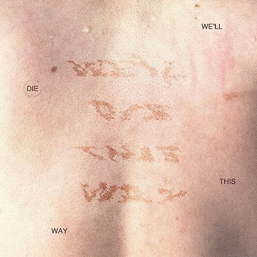 skaai WE'LL DIE THIS WAY 新品未使用送料込み Amazon MusicでSkaaiのWE'LL DIE THIS WAYを再生する